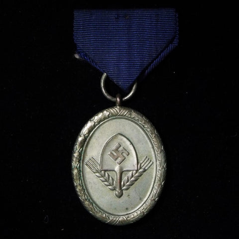 Nazi Germany RAD Medal, 2nd class, silver - BuyMilitaryMedals.com