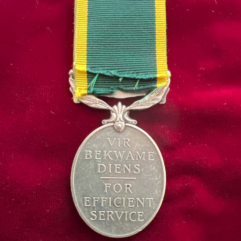 South Africa, Territorial Efficiency Medal, to Gunner J. Parkinson, South African Artillery
