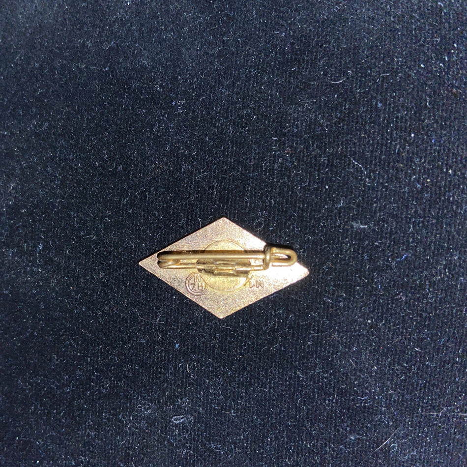 Nazi Germany, Golden Hitler Youth Badge