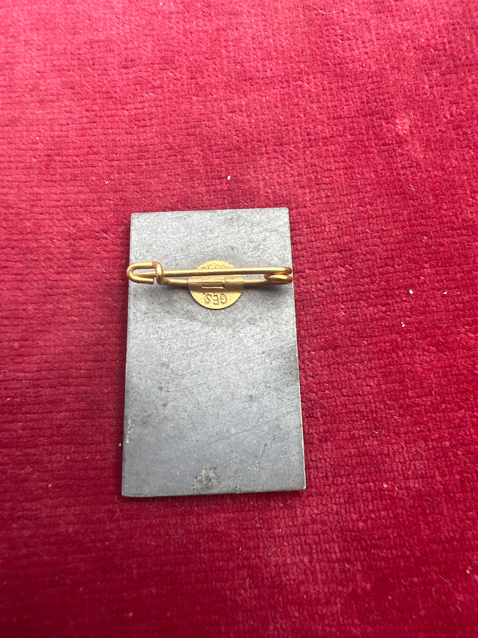 Nazi Germany, rally badge, 10 Years of the N.S.D.A.P. Party in Wolfurt